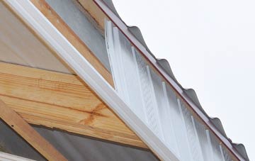 why Low Blantyre fascia repairs are essential