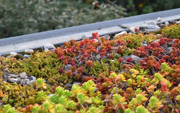 the cost of Low Blantyre green roof installation