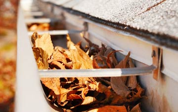 Low Blantyre gutter cleaning companies