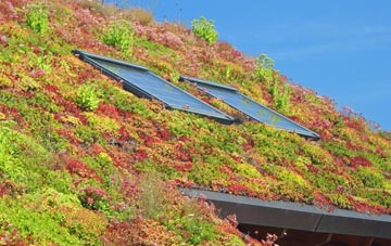 Low Blantyre living roof systems
