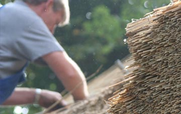 professional Low Blantyre thatchers