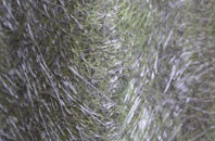 Low Blantyre fibreglass roof work