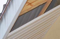 rated Low Blantyre soffit repair companies